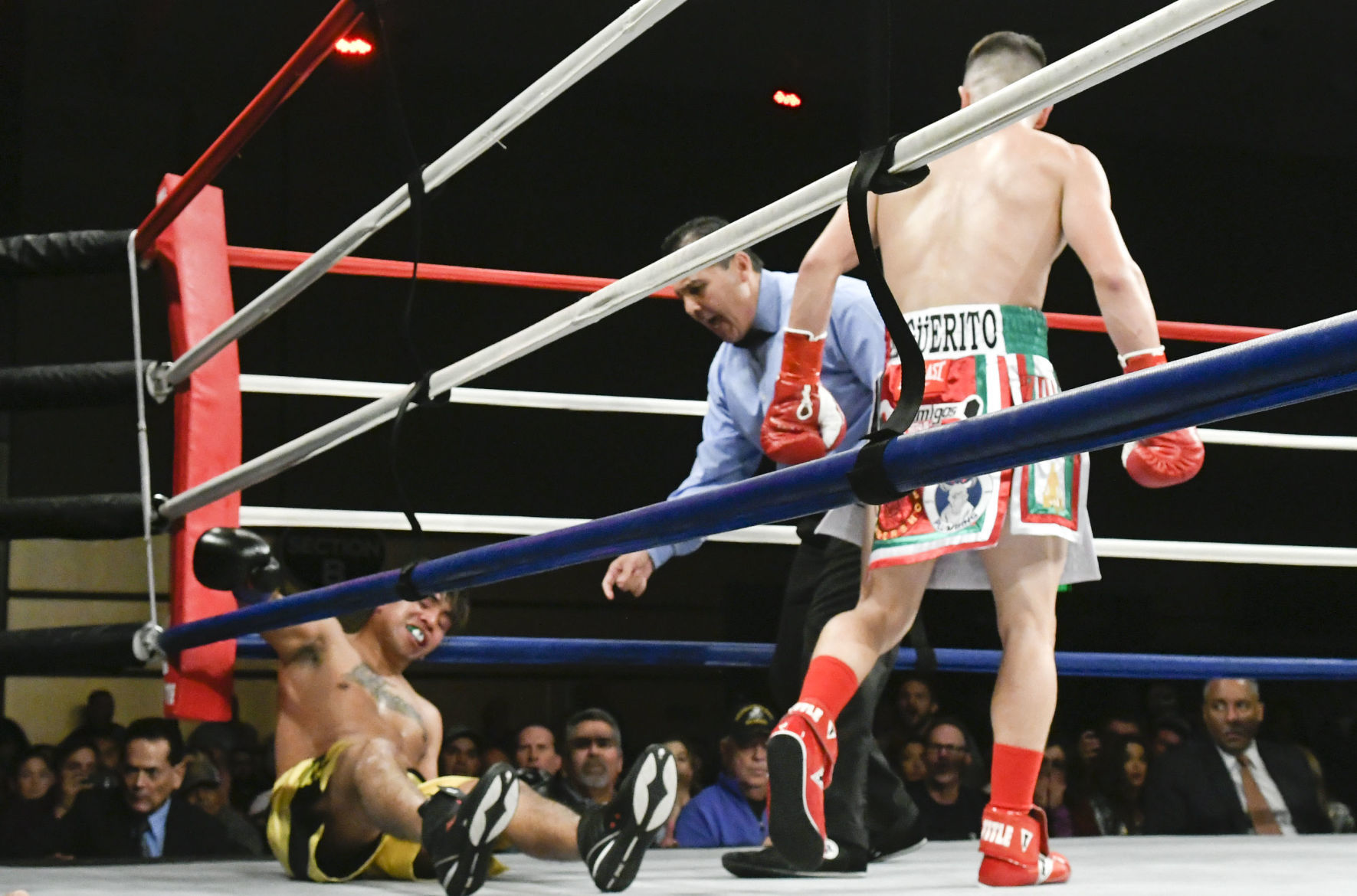 011020 WFC 120 boxing 41.jpg